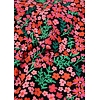 Dámská halenka Blutsgeschwister Pow Wow Vau Multicolor - Blutsgeschwister - 001261-342 02141 Pow Wow Vau