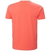 Pánské triko HELLY HANSEN RWB GRAPHIC T-SHIRT 284 PEACH ECHO - Helly Hansen - 53763 284 RWB GRAPHIC T-SHIRT