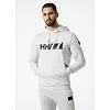 Pánská mikina HELLY HANSEN RWB HOODIE 825 nimbus