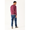 Pánský svetr GARCIA mens pullover 2541 raspberry - GARCIA - Z1084 2541 mens pullover