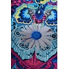 Dámské šaty DESIGUAL EXETER-LACROIX 5036 BLUE - DESIGUAL - 23SWVK33 5036 VEST EXETER-LACROIX