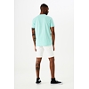 Pánské triko GARCIA mens T-shirt ss 930 spearmint - GARCIA - E31002 930 mens T-shirt ss