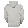 Pánská mikina HELLY HANSEN TOKYO HOODIE 949 GREY MELANGE - Helly Hansen - 53289 949 TOKYO HOODIE