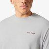 Pánské triko HELLY HANSEN SKOG GRAPHIC T-SHIRT Šedá - Helly Hansen - 63082 853 SKOG GRAPHIC T-SHIRT